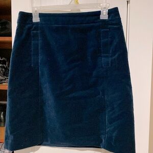 Ann Taylor Velvet Skirt